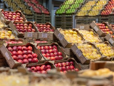 Magnifiques pommes rouges et poires sur les étales destinée à la vente
